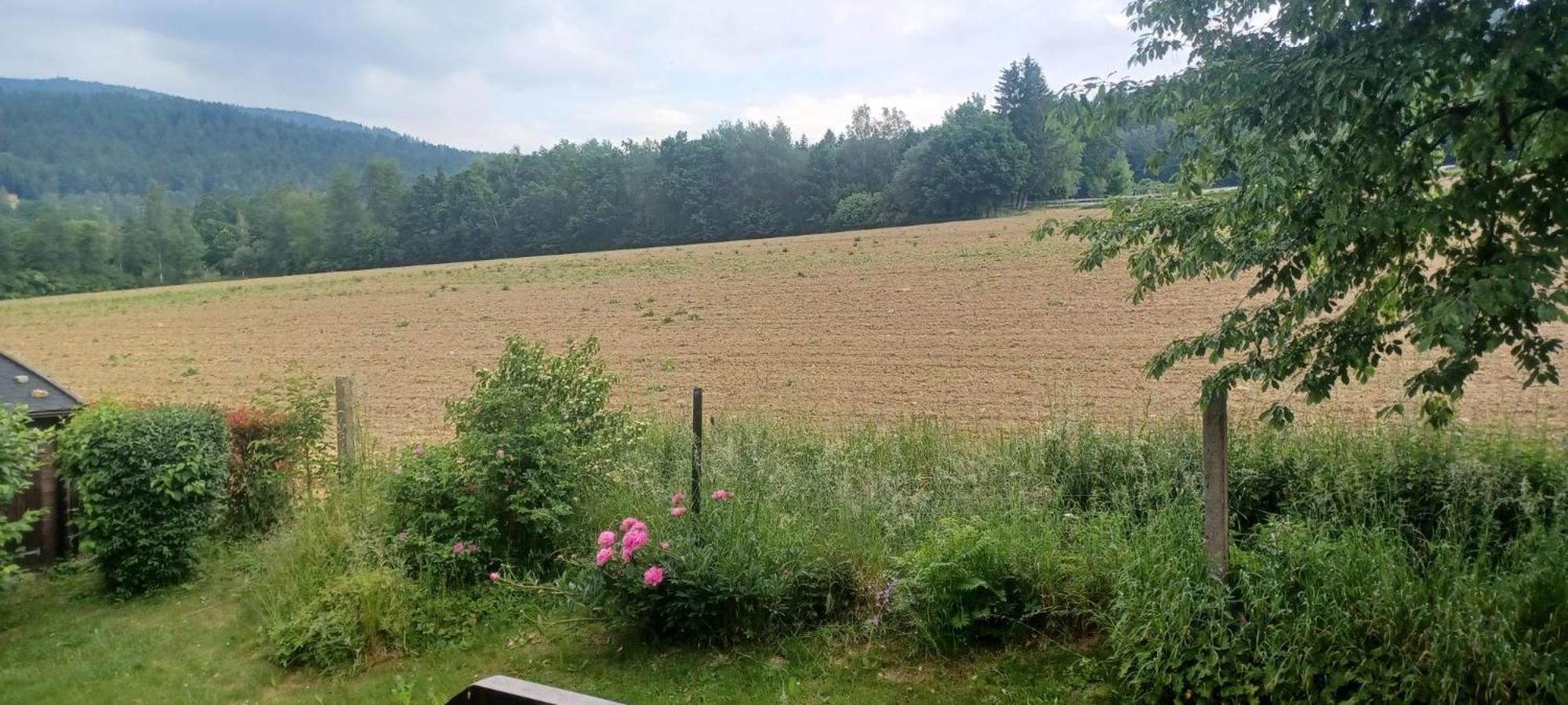 Ferienwohnungen Meis Arrach Exterior foto